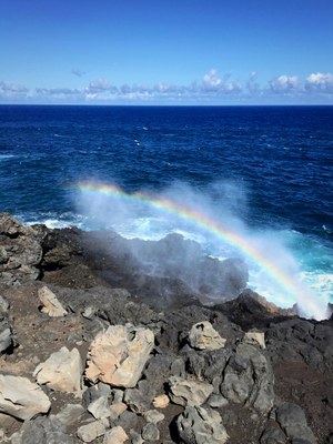 Erin Cezanne Bert (1)